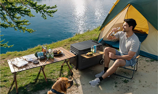 How to Decide Between a Battery-Powered Cooler and a Car Fridge